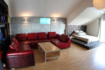 Мансардный этаж в модном стиле Loft