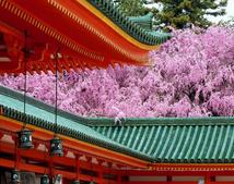 Удивительные украшения и яркая окраска японских зданий